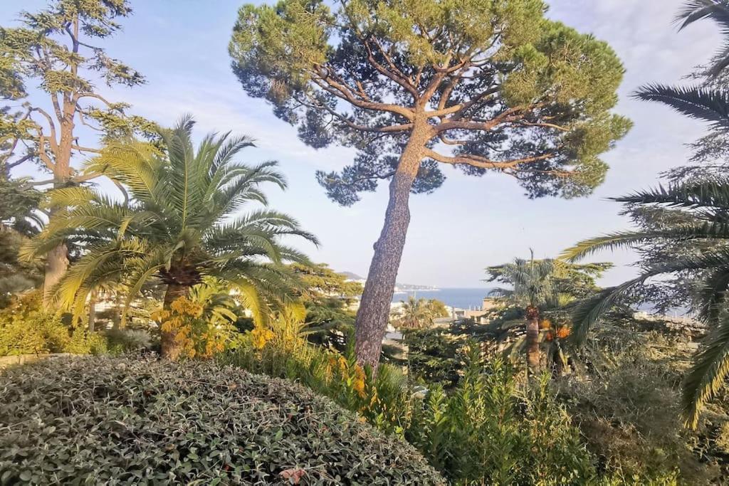 Appartement Nice Centre Vue Mer Avec Piscine Pour Famille, Couple D'Amis Pas De Groupes De Jeunes Autorises Екстер'єр фото